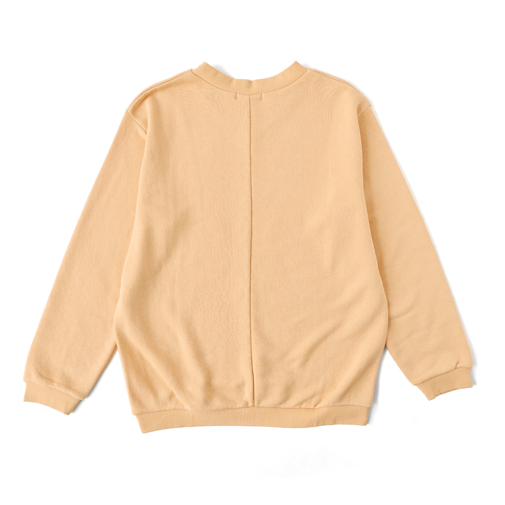 ソフティウラケプルオーバー 長袖