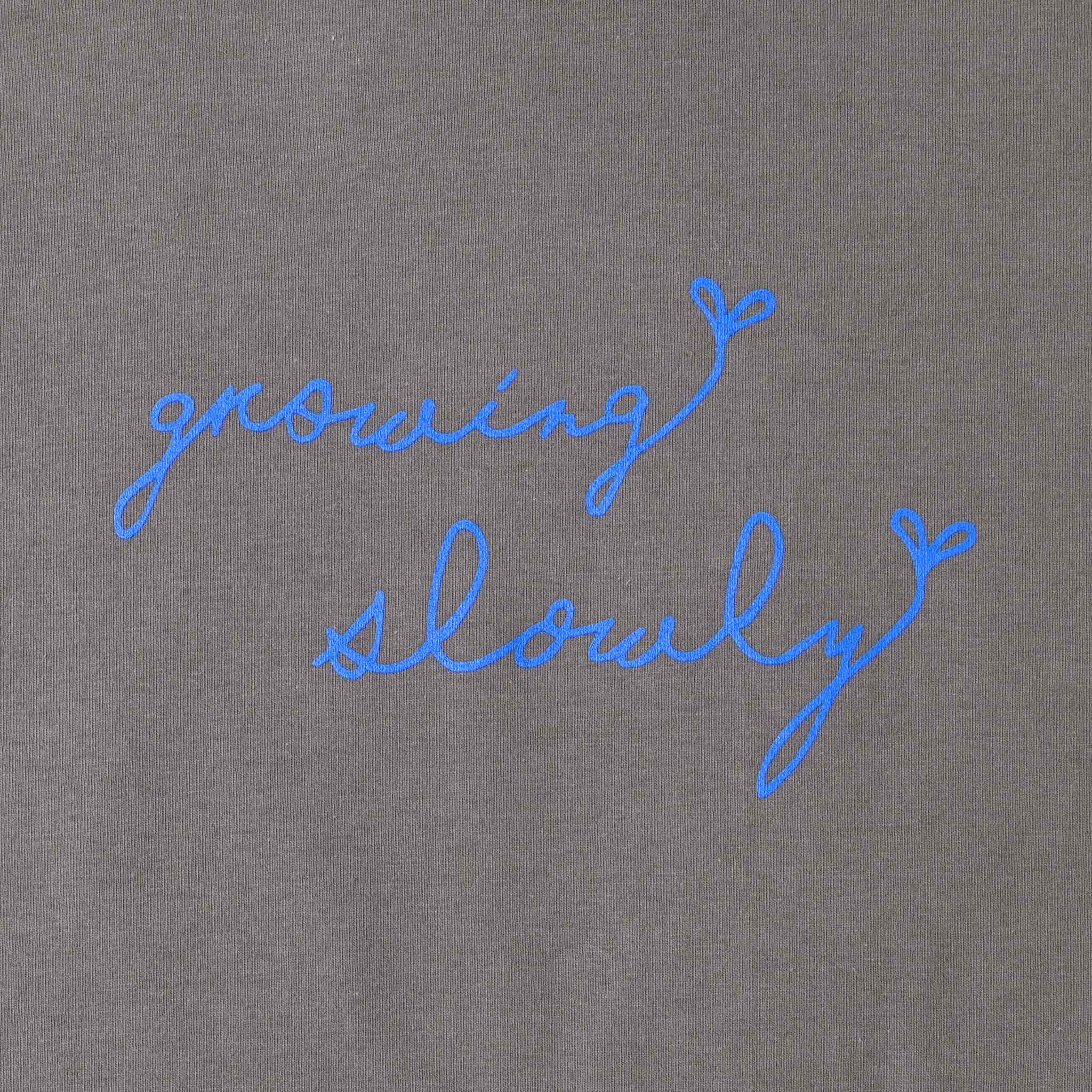 テンジクロゴTシャツ 半袖