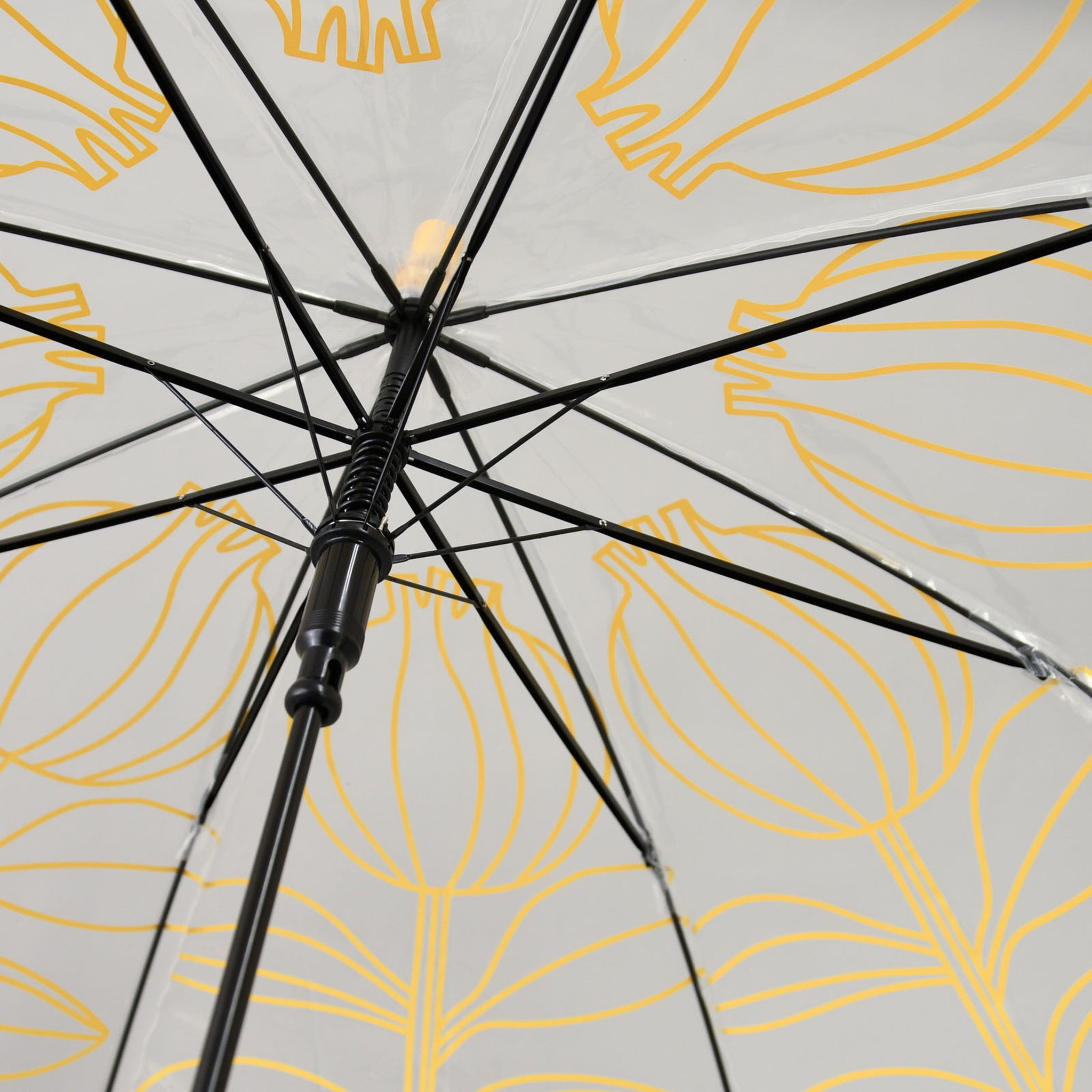 長傘 クリアベリー