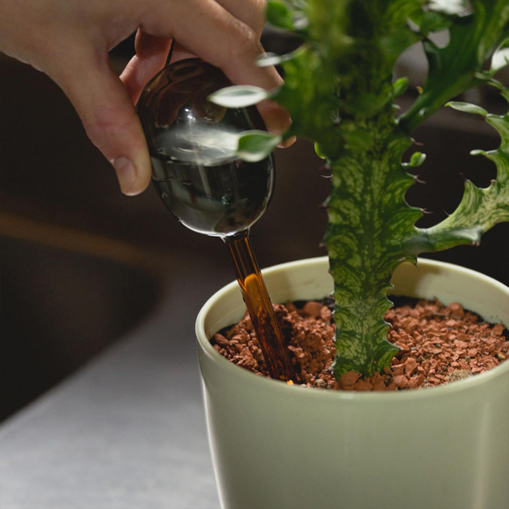 【amabro/アマブロ】TWO TONE WATER DISPENSER(S)