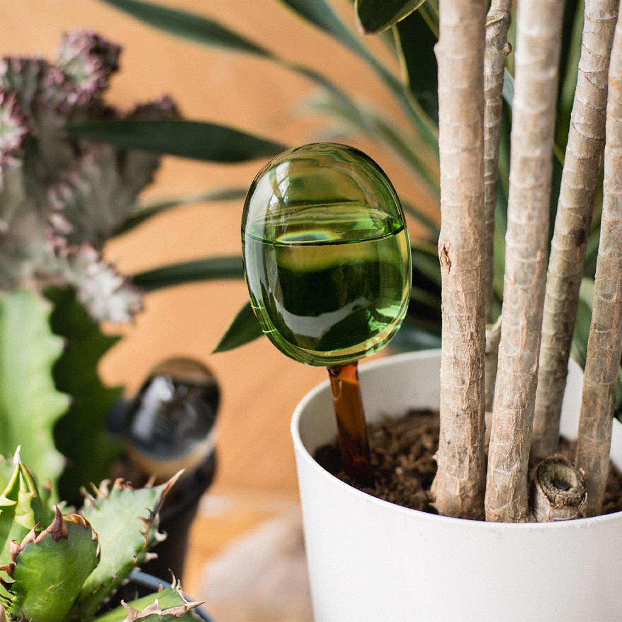 【amabro/アマブロ】TWO TONE WATER DISPENSER(L)