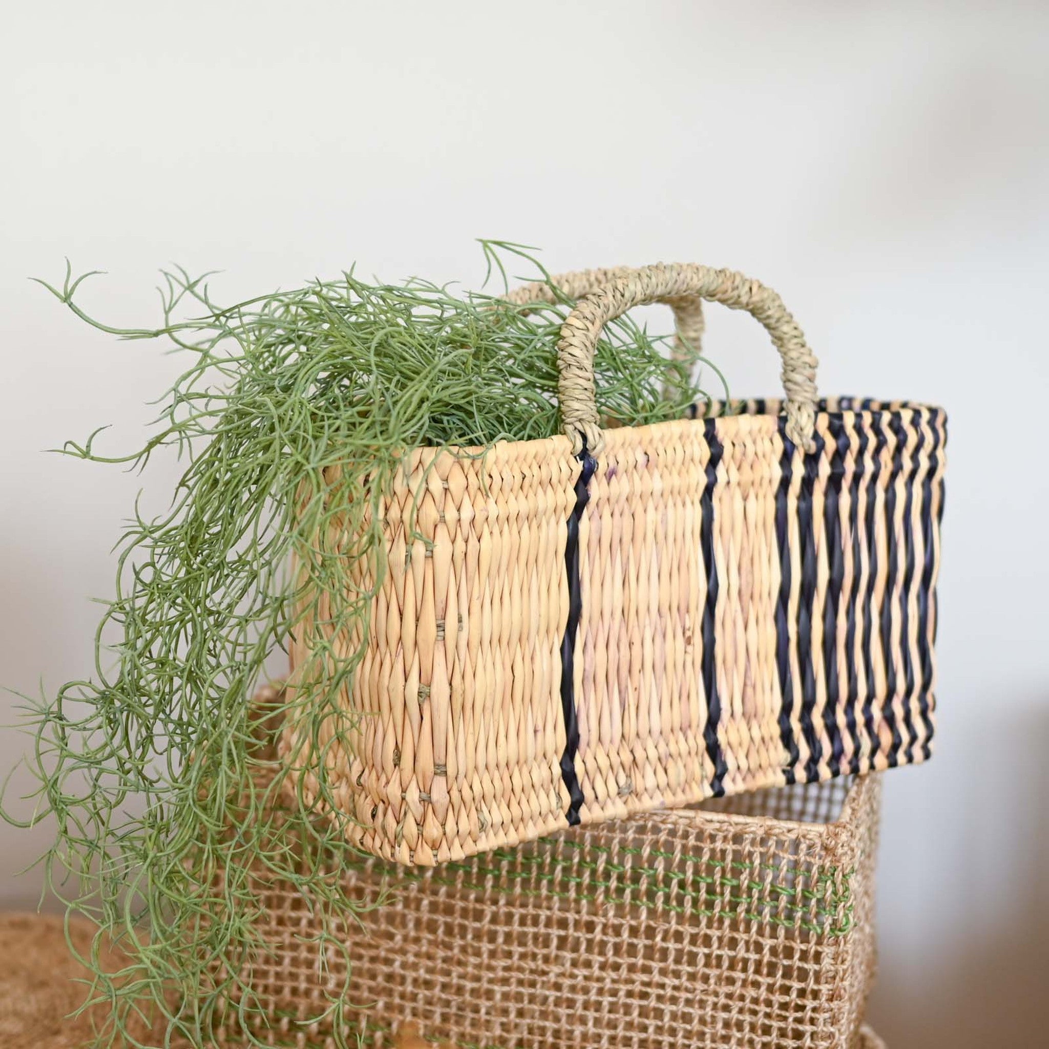 ストロー横長カゴ M ドームハンドル