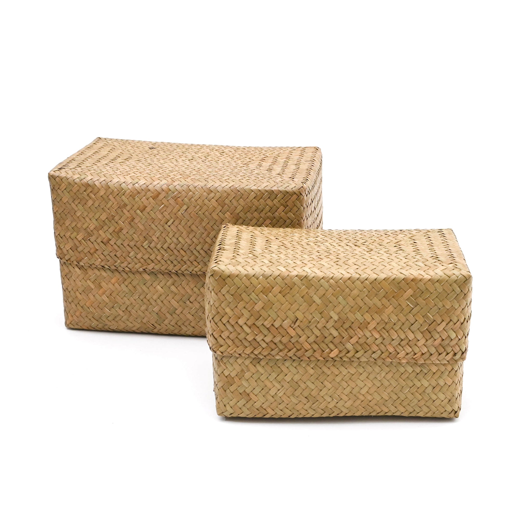 カチュー水草蓋付き四角BOX S