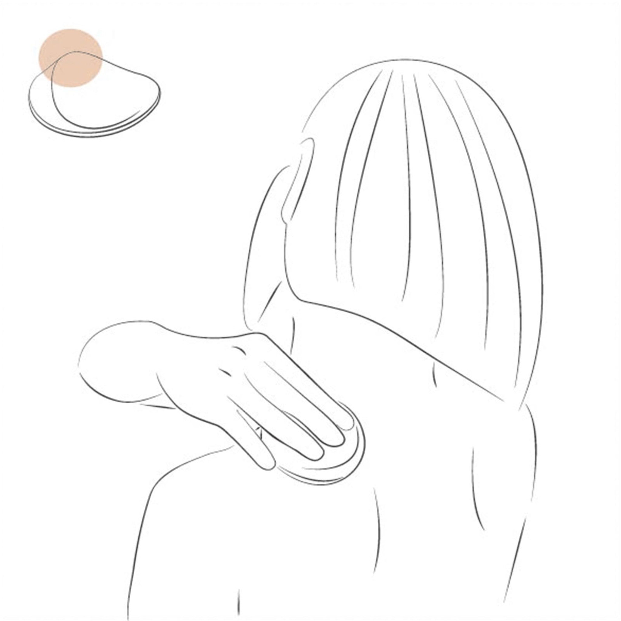 【NAGAE+/ナガエプリュス】collinette(コリネット)