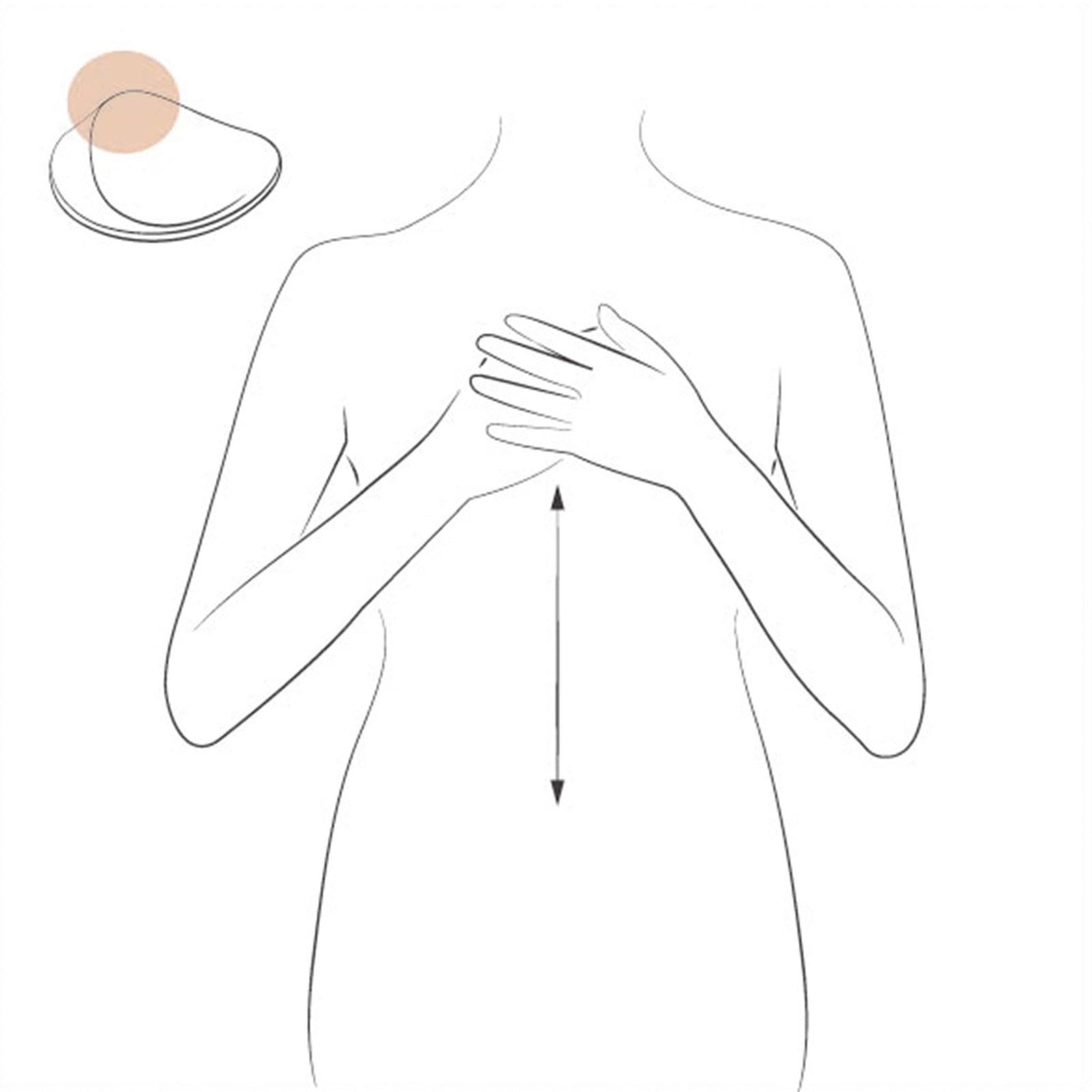 【NAGAE+/ナガエプリュス】collinette(コリネット)