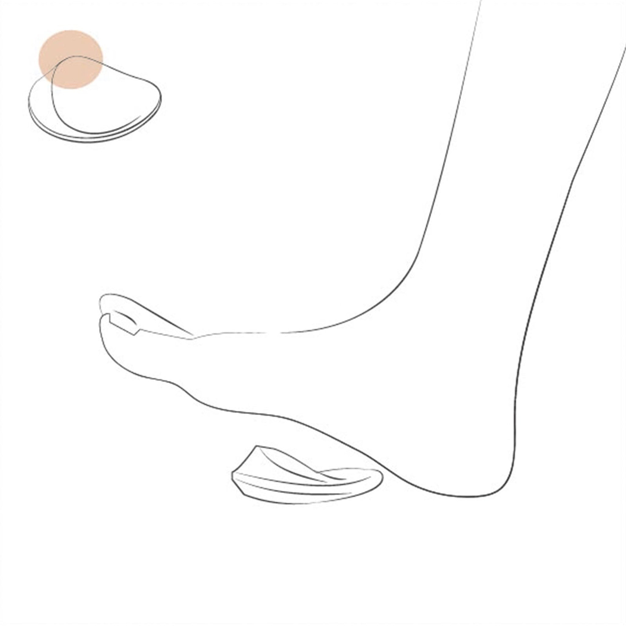 【NAGAE+/ナガエプリュス】collinette(コリネット)