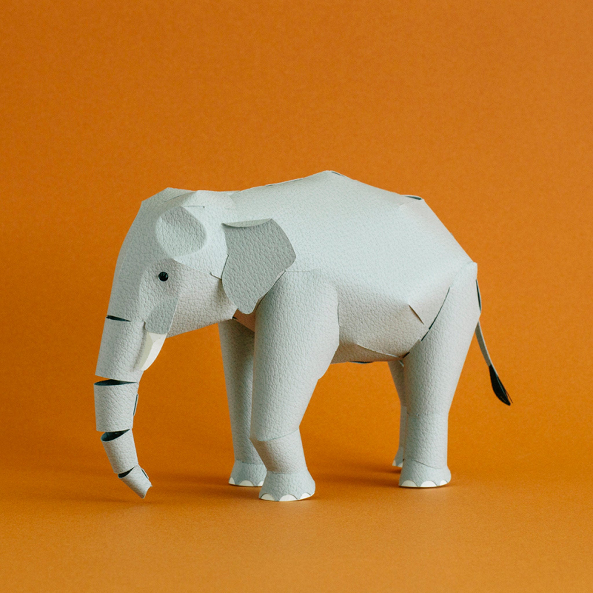 【福永紙工】TOP TO TAIL ペーパークラフト ゾウ