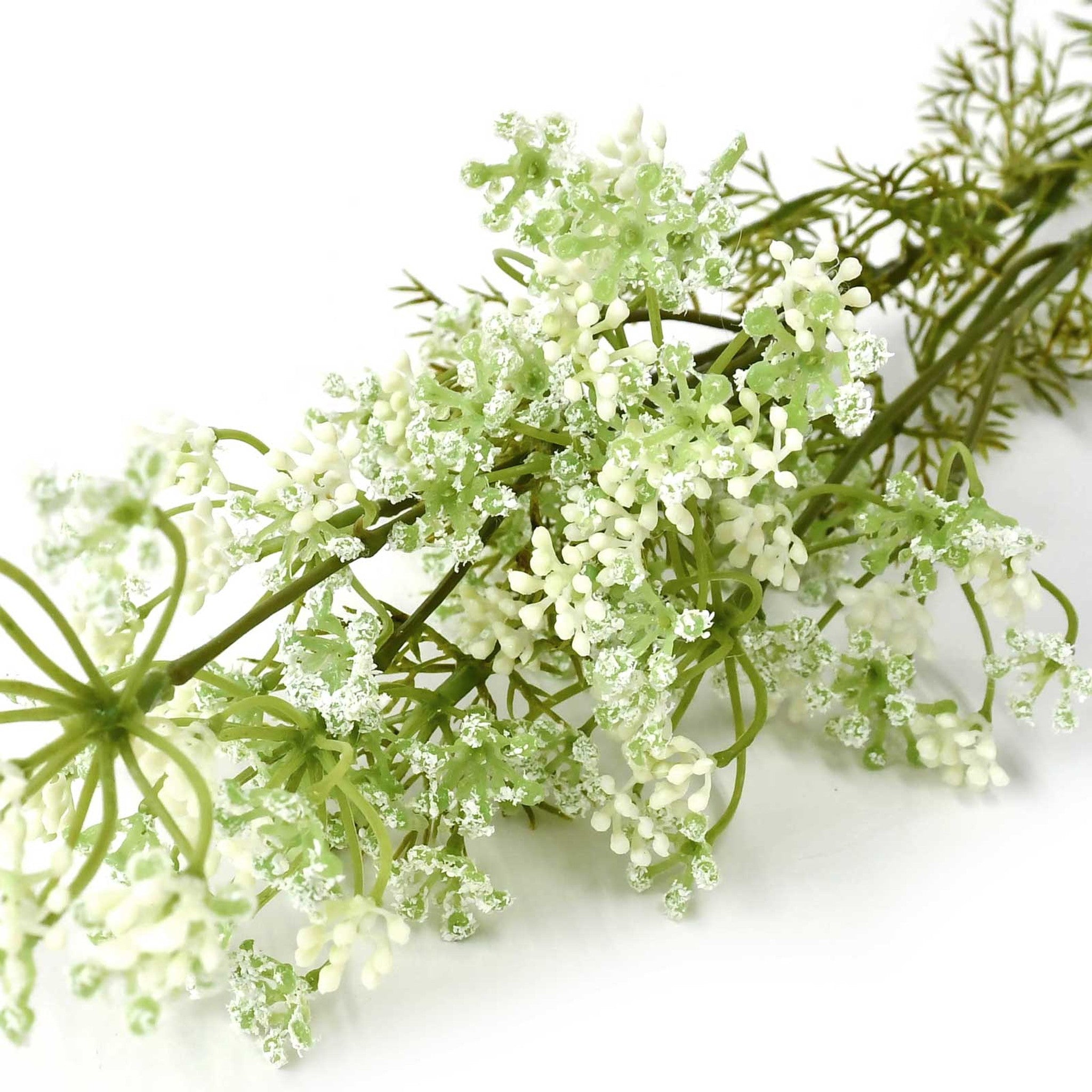 フェイクフラワー (ロイヤルディルフラワー)