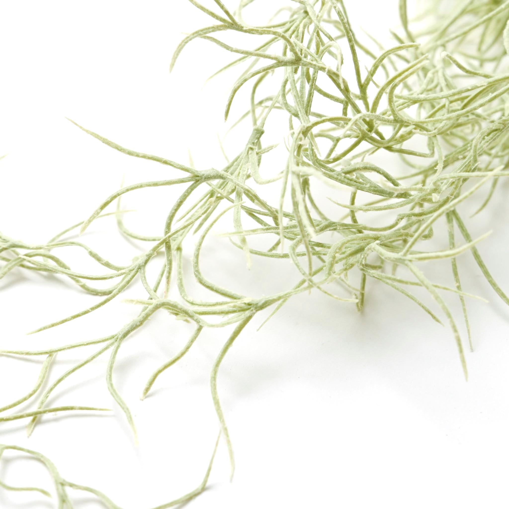 フェイクフラワー(スパニッシュモス)