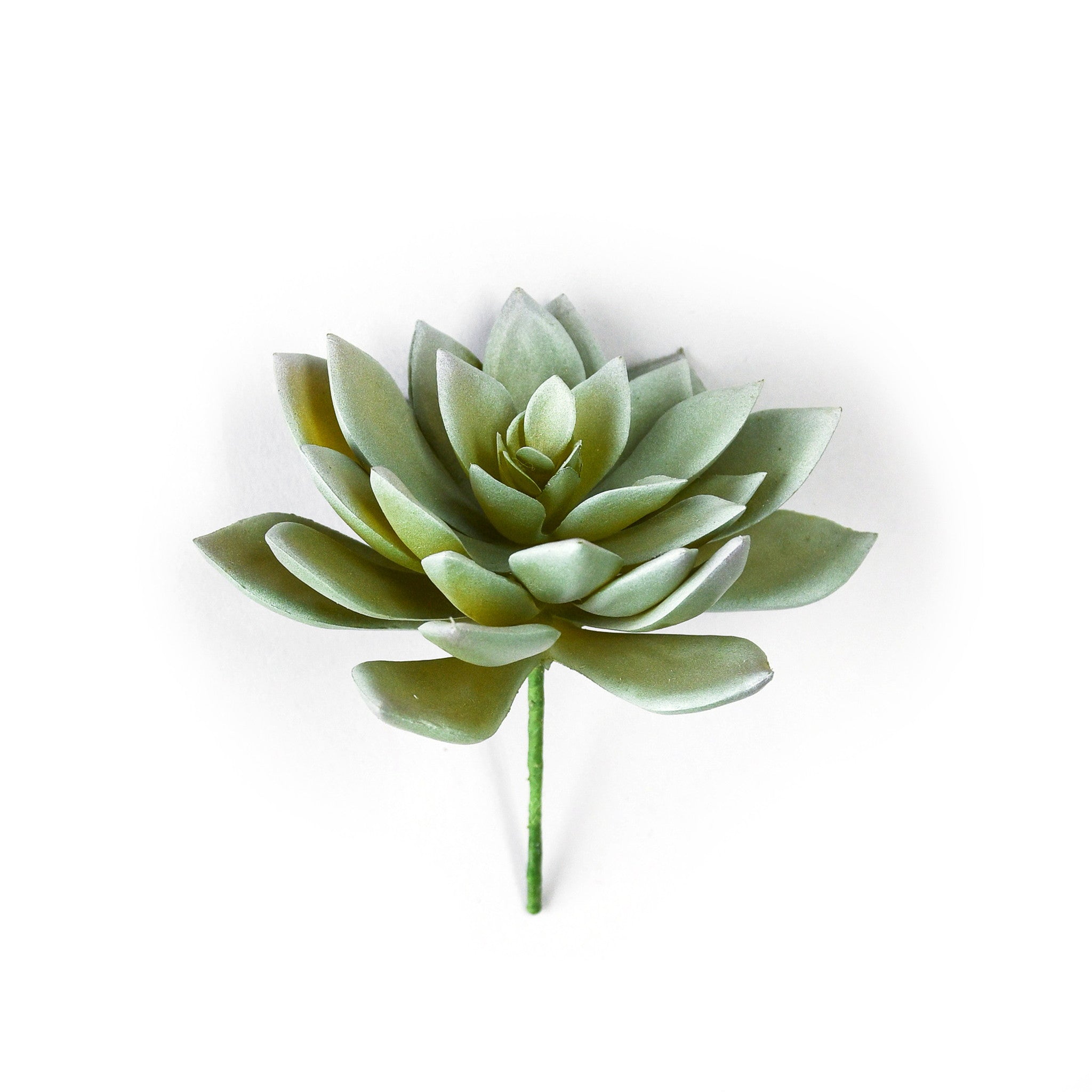 フェイクフラワー (エケベリアローラ)