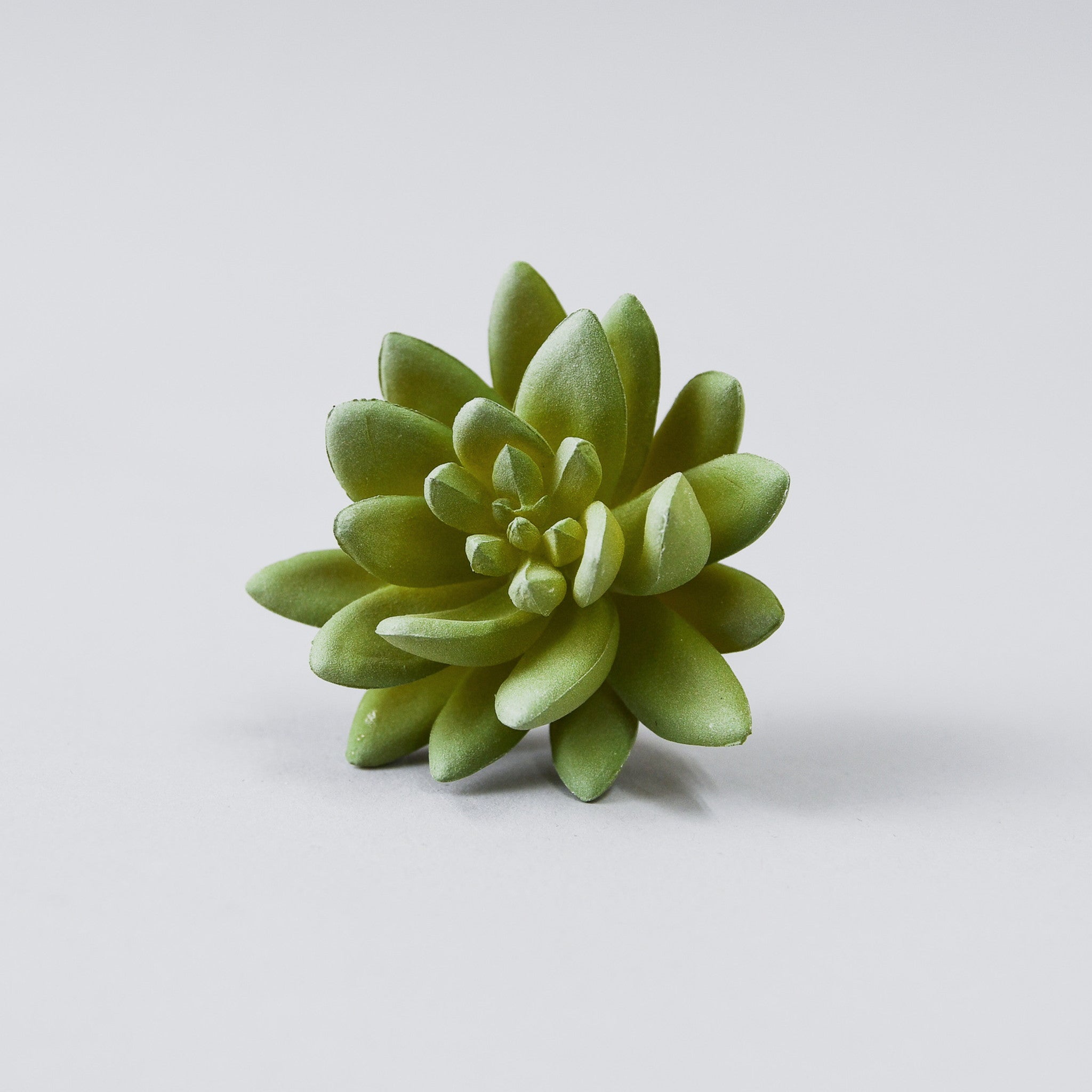 フェイクフラワー (セダムプリマ)