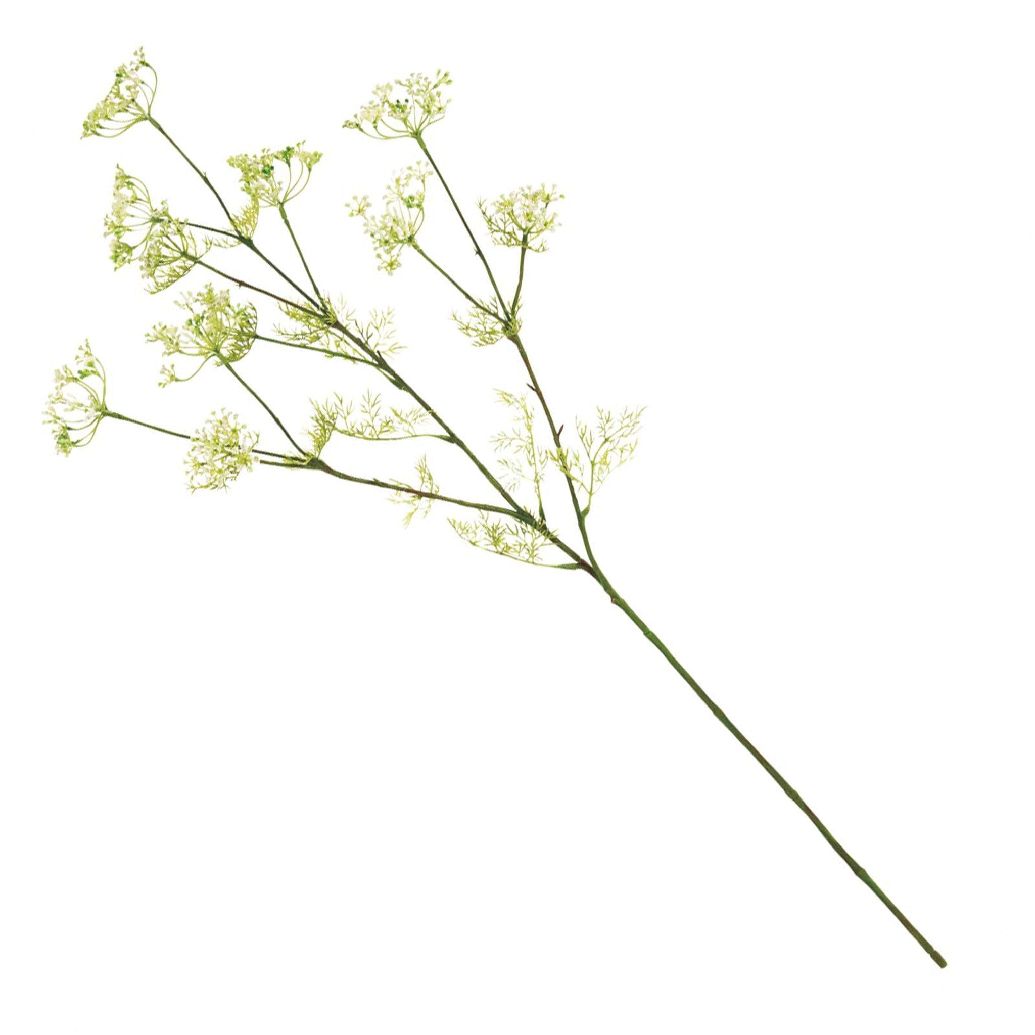 フェイクフラワー (ロイヤルディルフラワー)