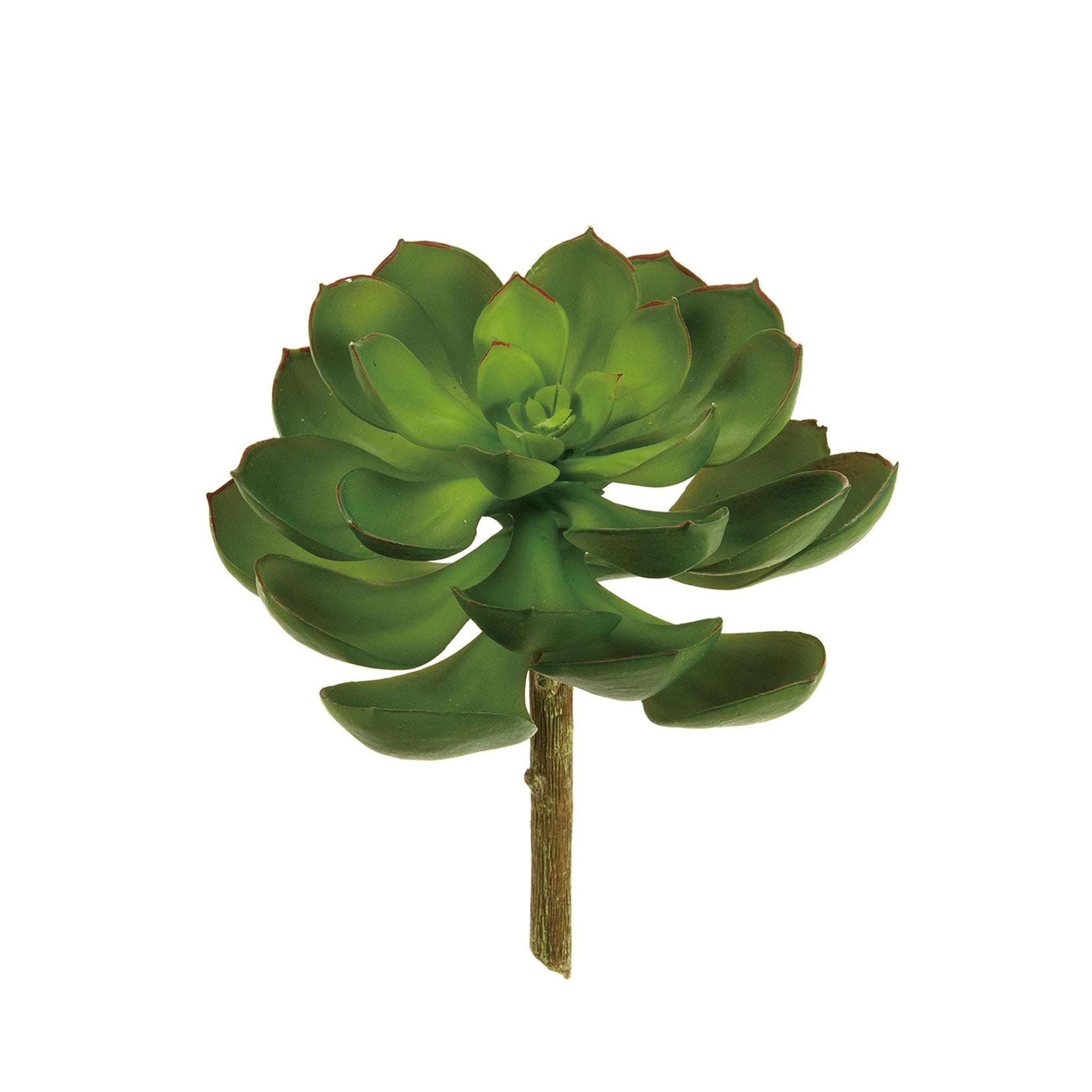 フェイクフラワー (エケベリアグランツ)