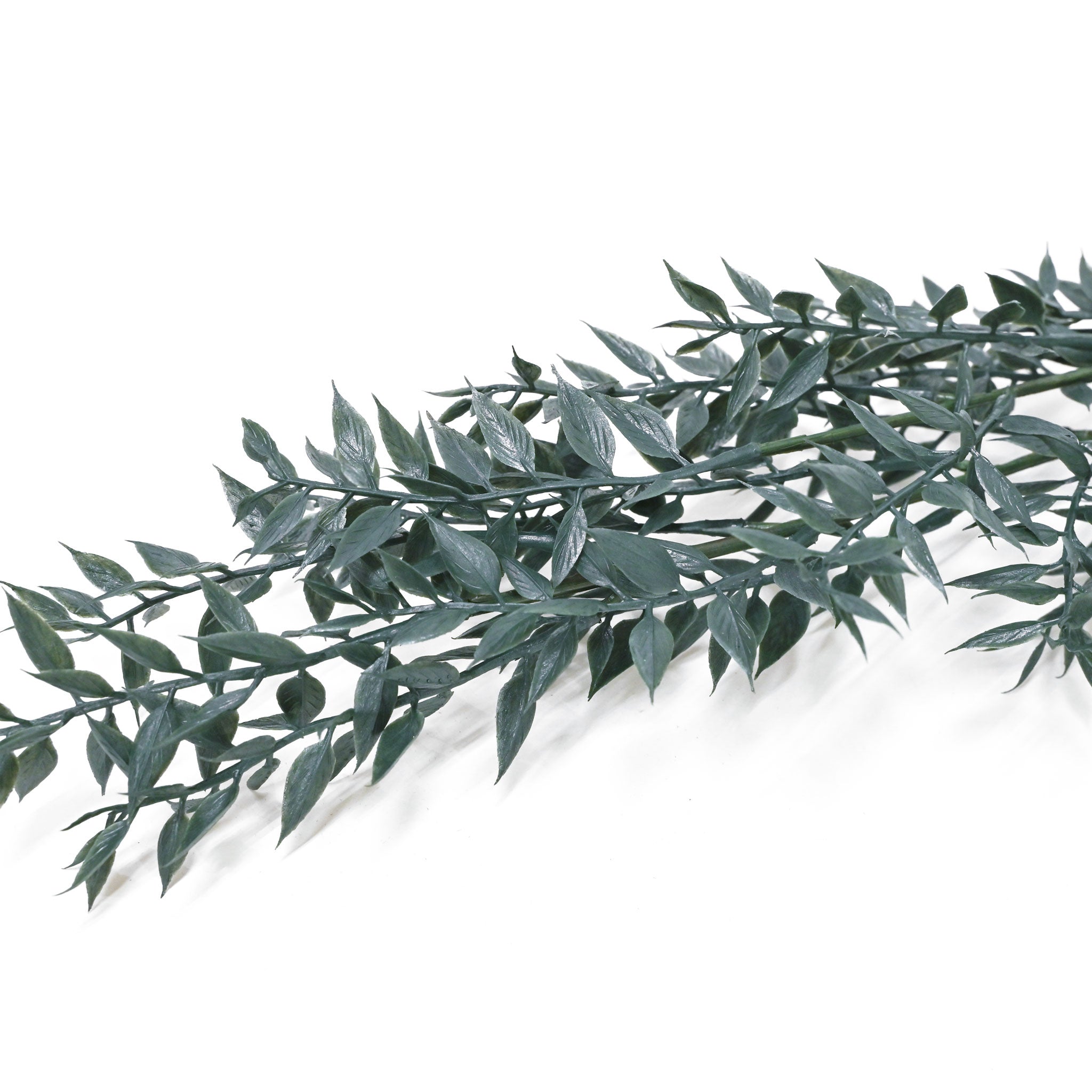 フェイクフラワー (ウォッシュルスカス )