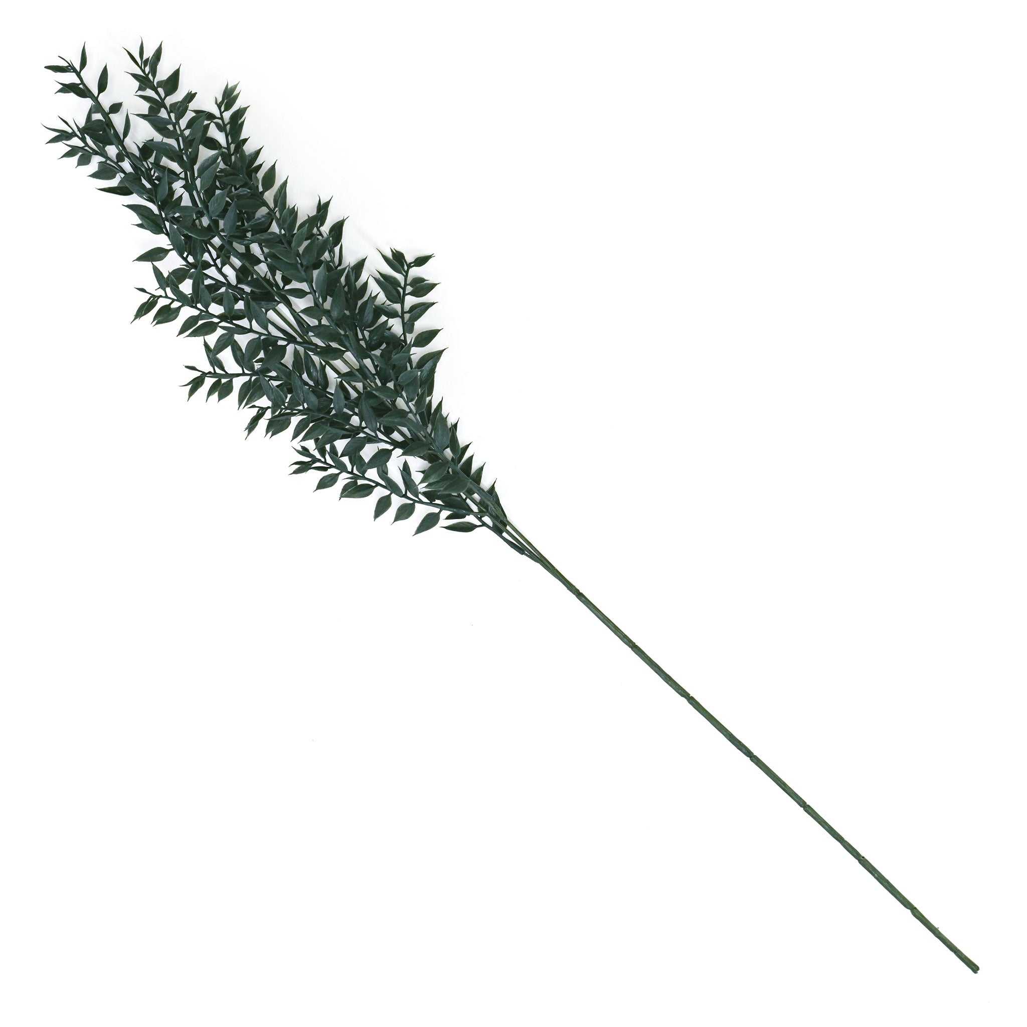 フェイクフラワー (ウォッシュルスカス )