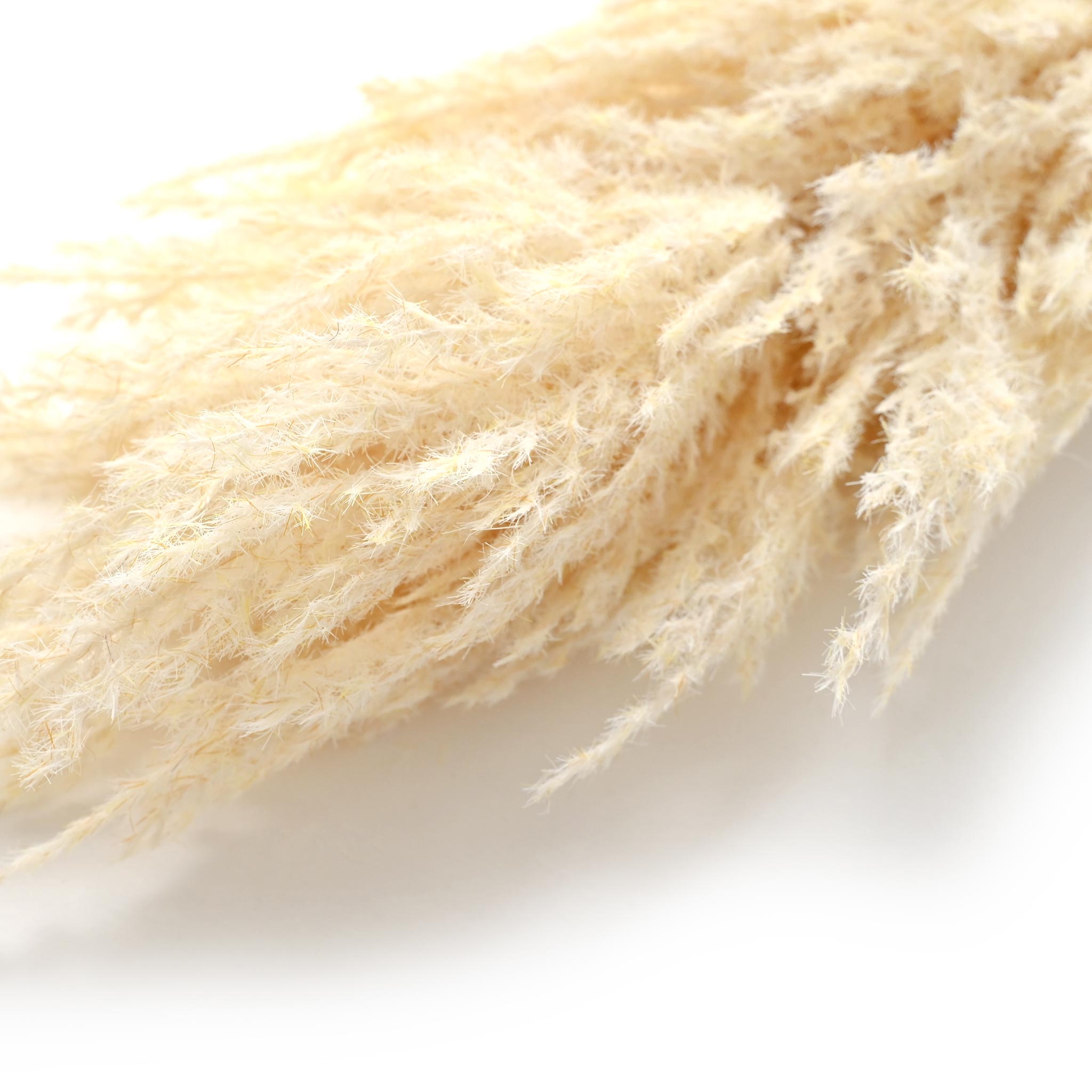 フェイクフラワー(フロッキーパンパス)