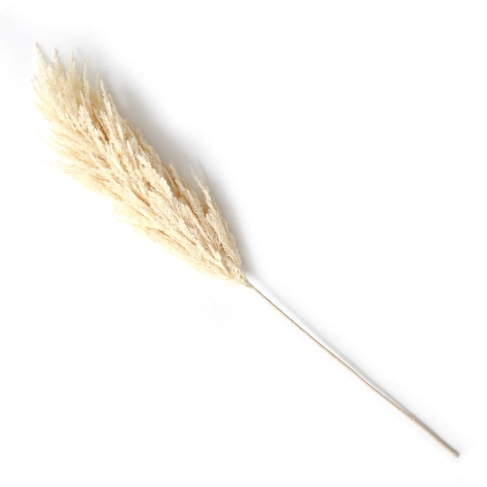 フェイクフラワー(フロッキーパンパス)