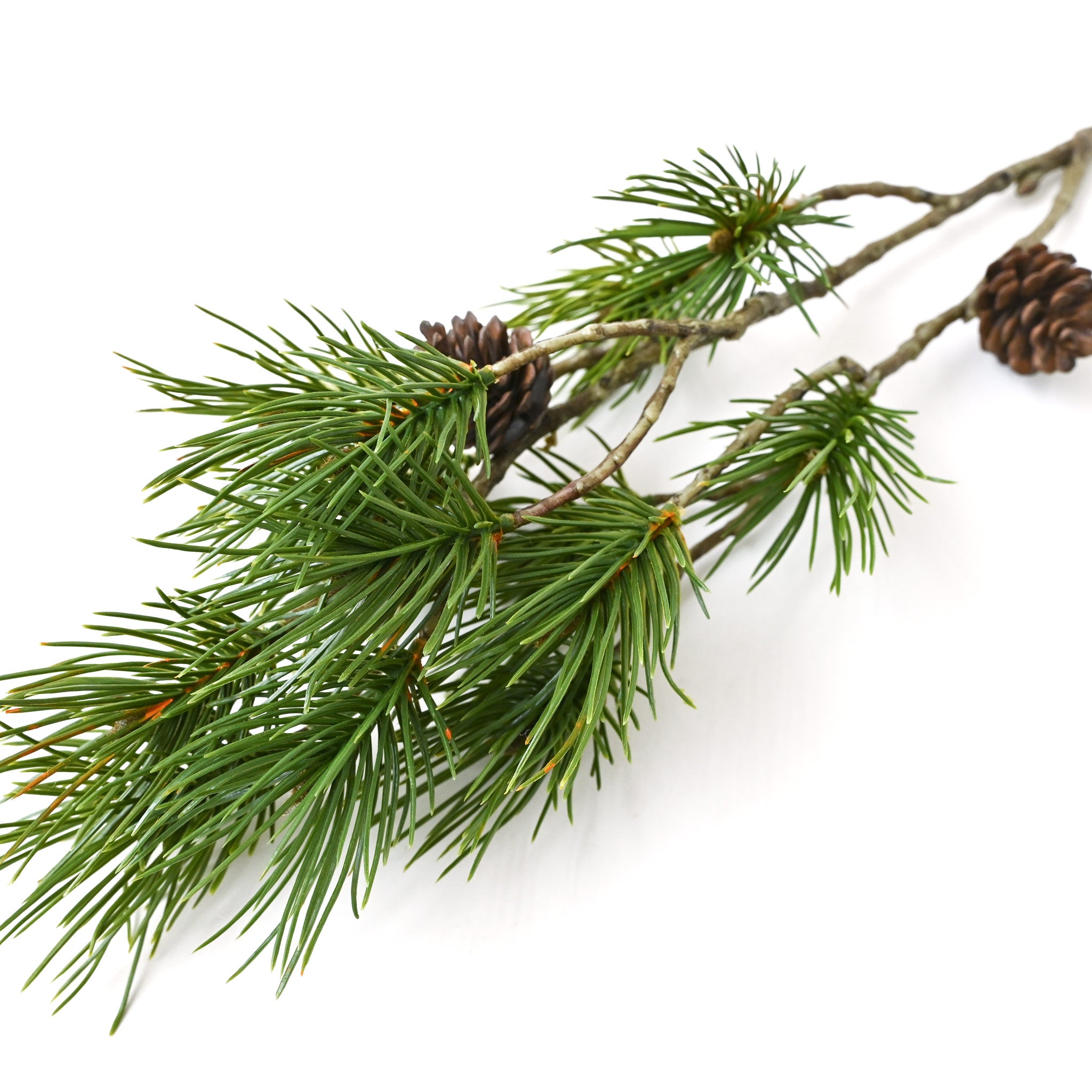 フェイクフラワー (千寿松枝)