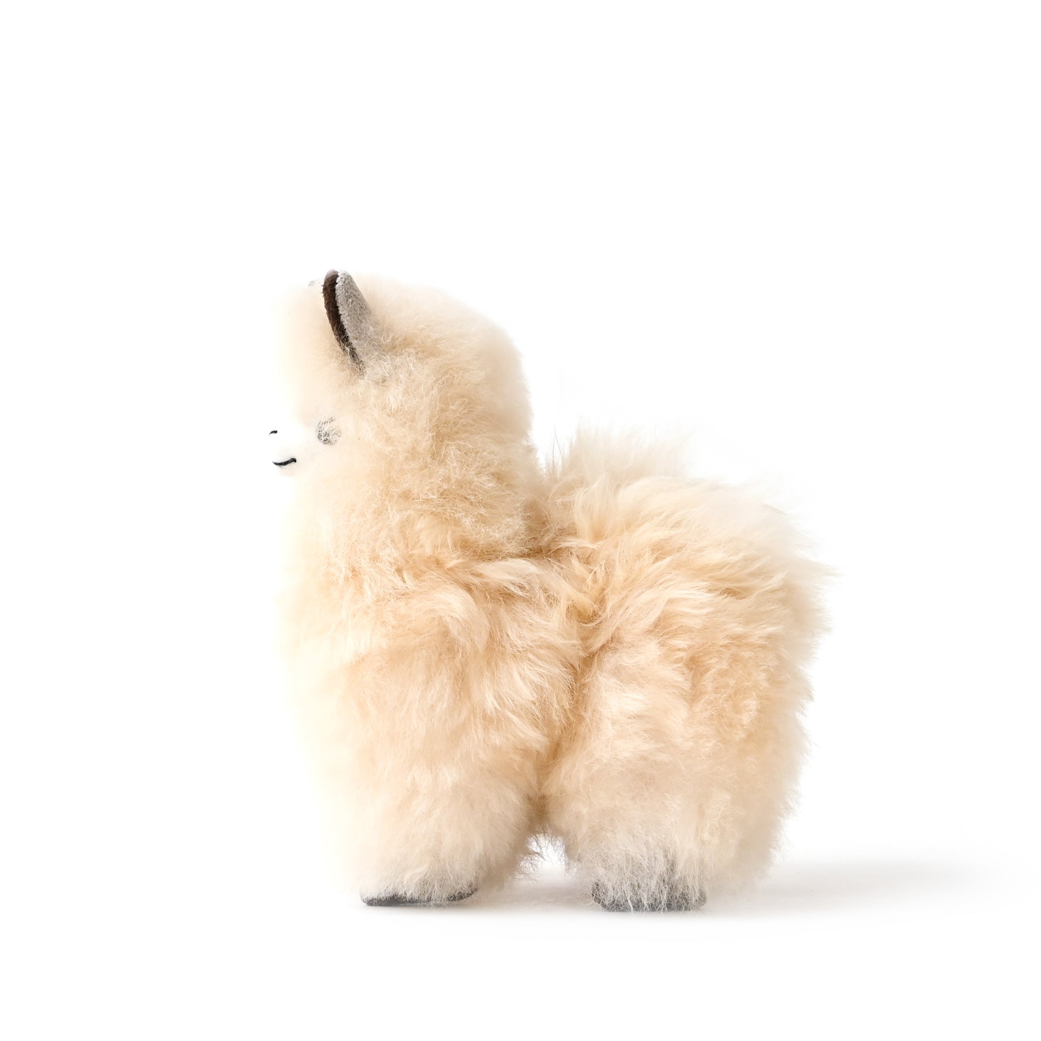 【WRAPS INTERNATIONAL】アルパカドール S