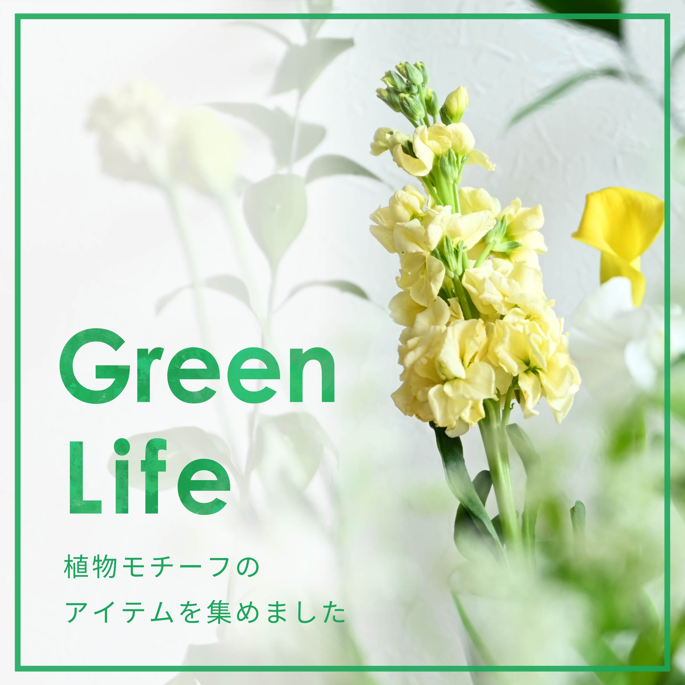 【植物のある暮らし】日常にグリーンを。インテリア・Tシャツなど植物モチーフのアイテムで暮らしを豊かに