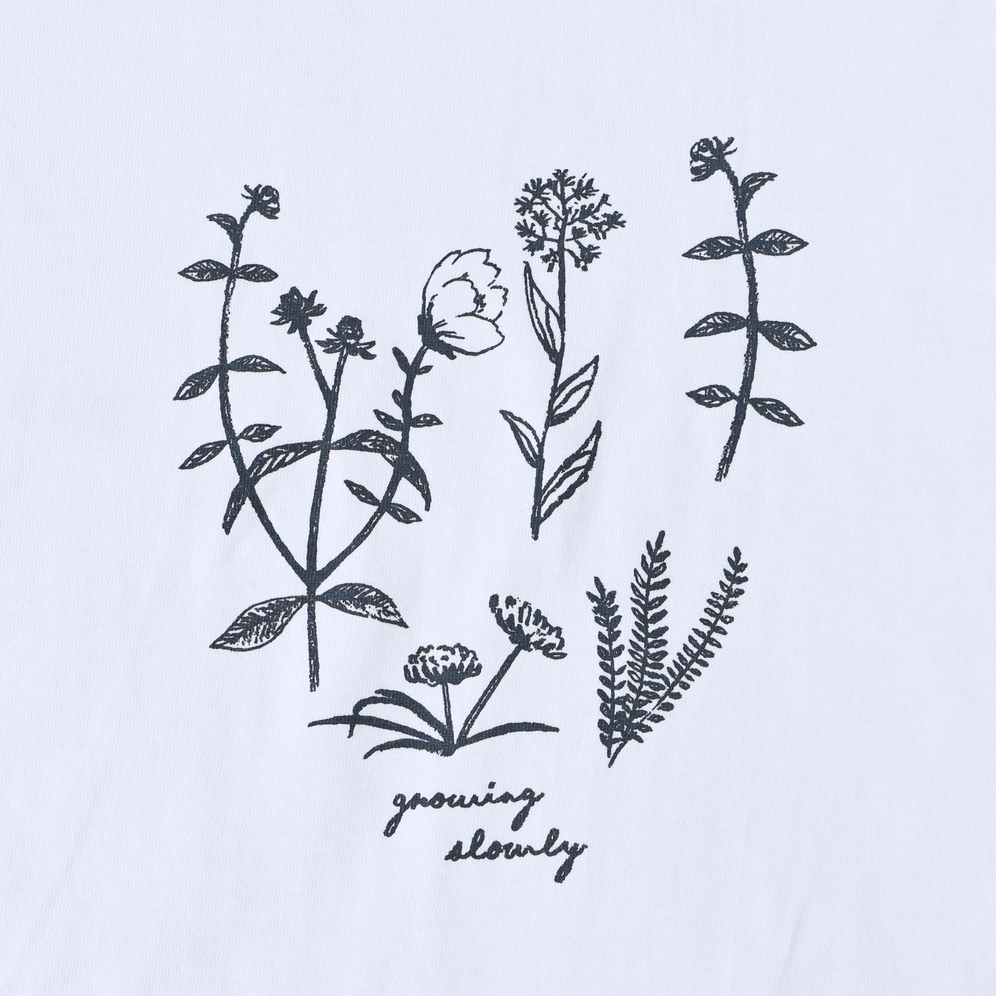 スケッチプランツTシャツ 半袖