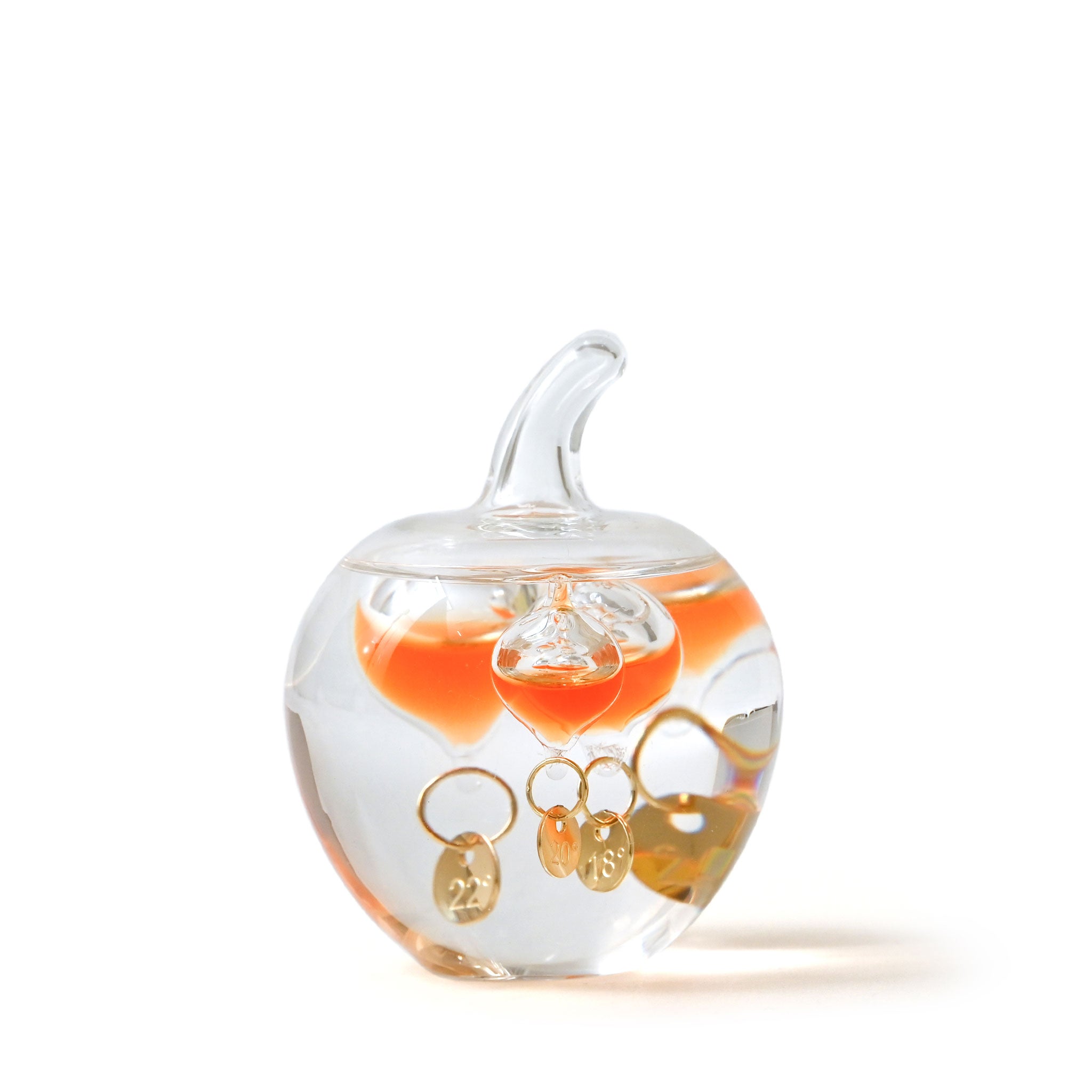 サーモメータ―[サイエンス] リンゴ | deux C(ドゥ・セー)公式