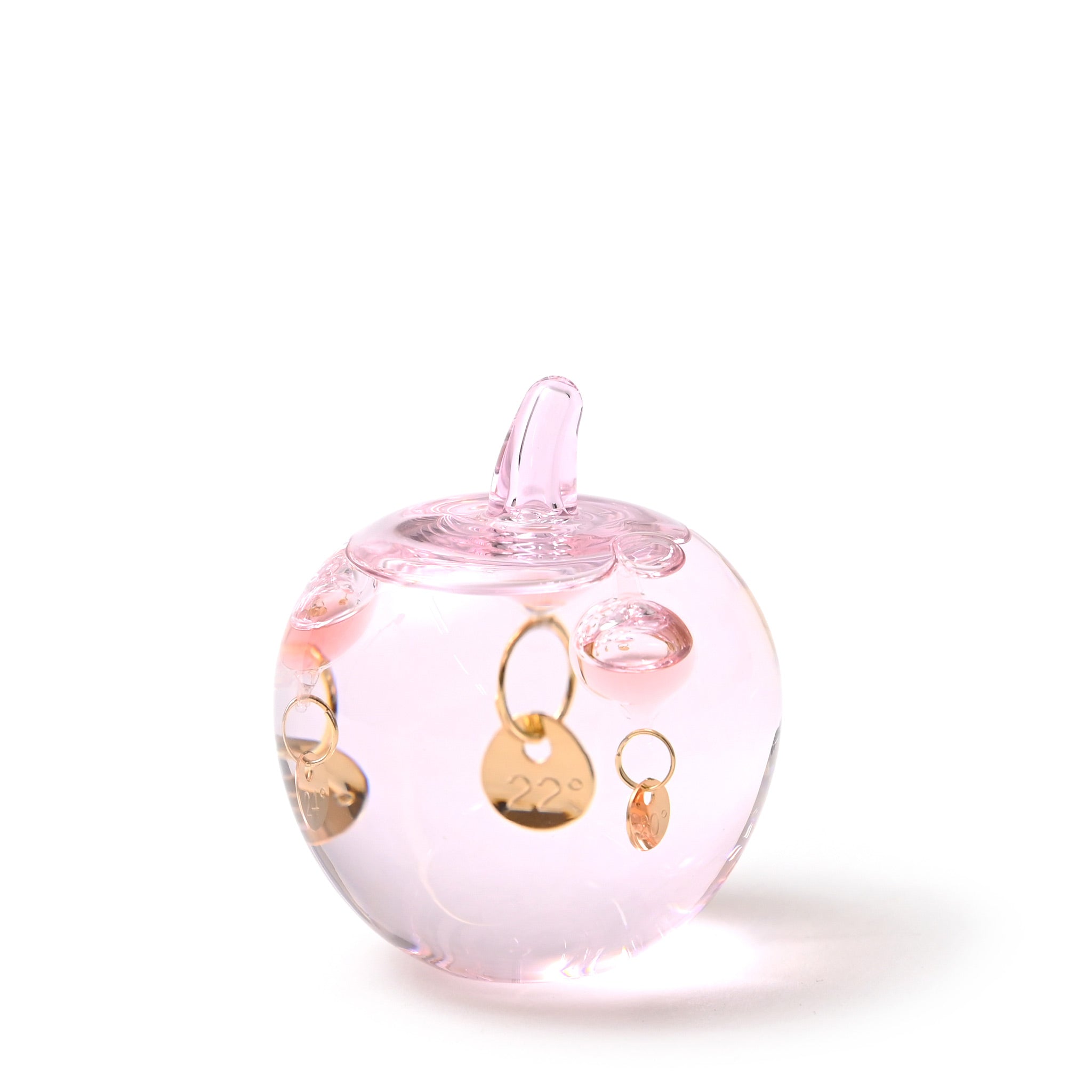 サーモーメーター[サイエンス] リンゴ