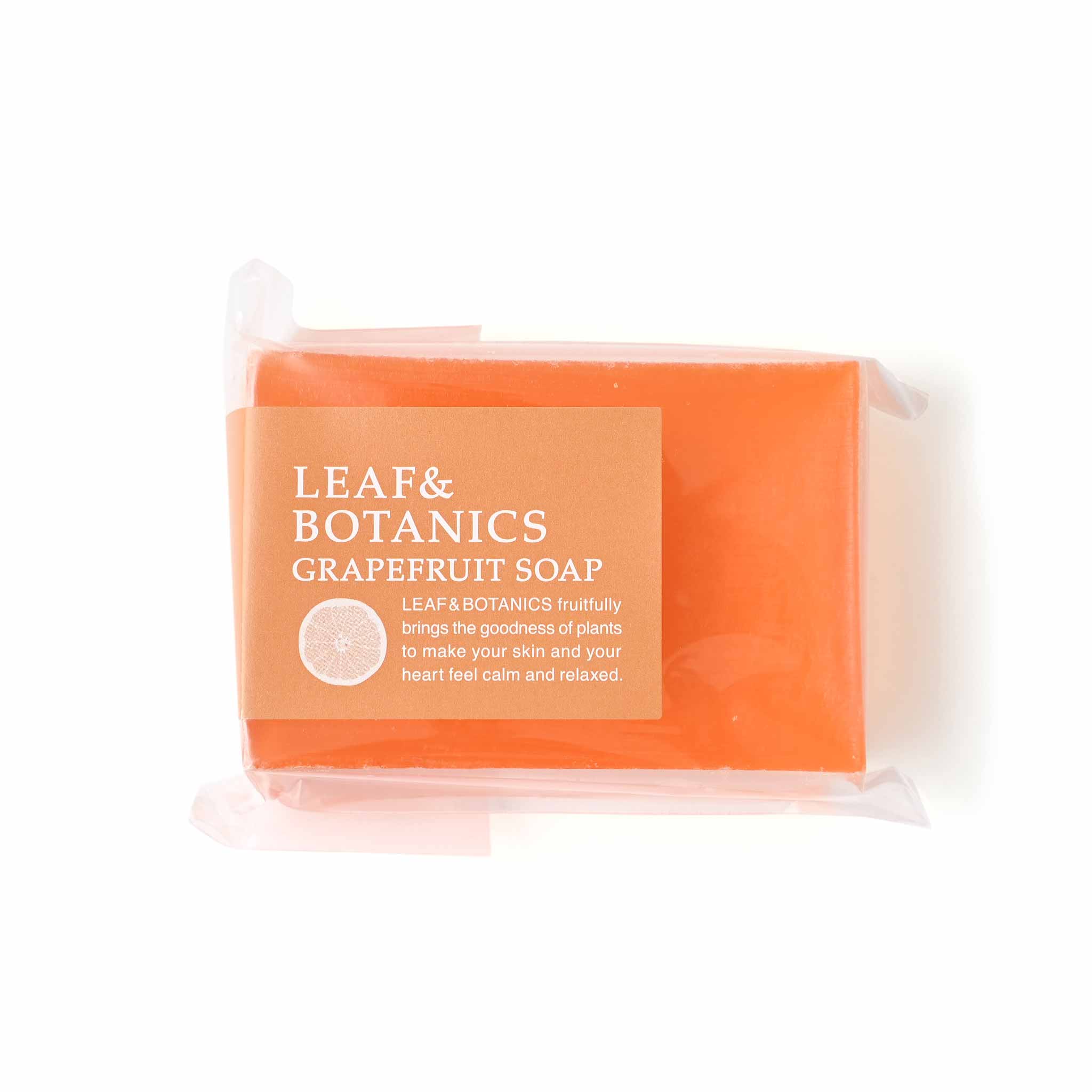 【LEAF&BOTANICS/リーフ&ボタニクス】マザーソープ