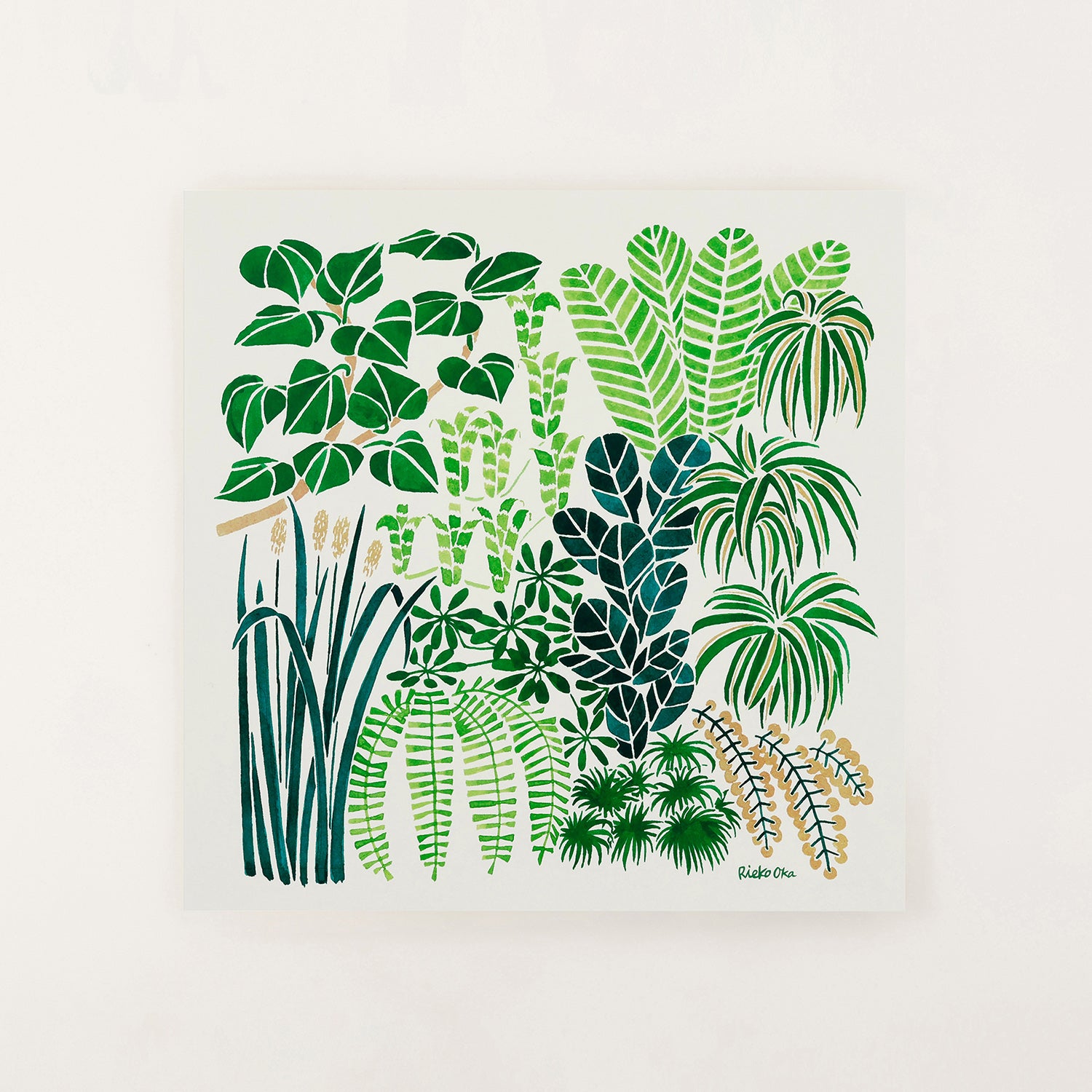 アートポスター Botanicals 30×30cm