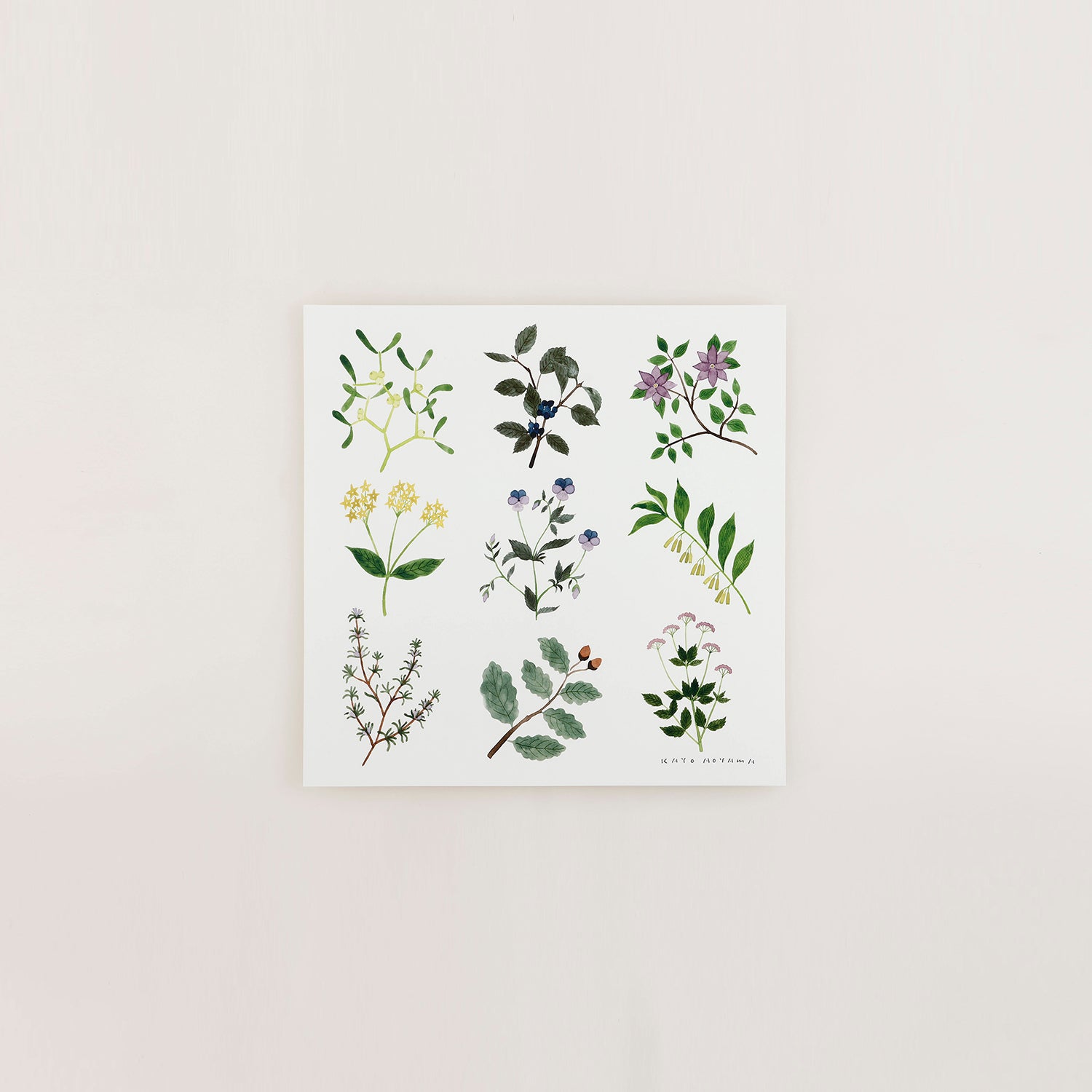 アートポスター PLANTS 20×20cm