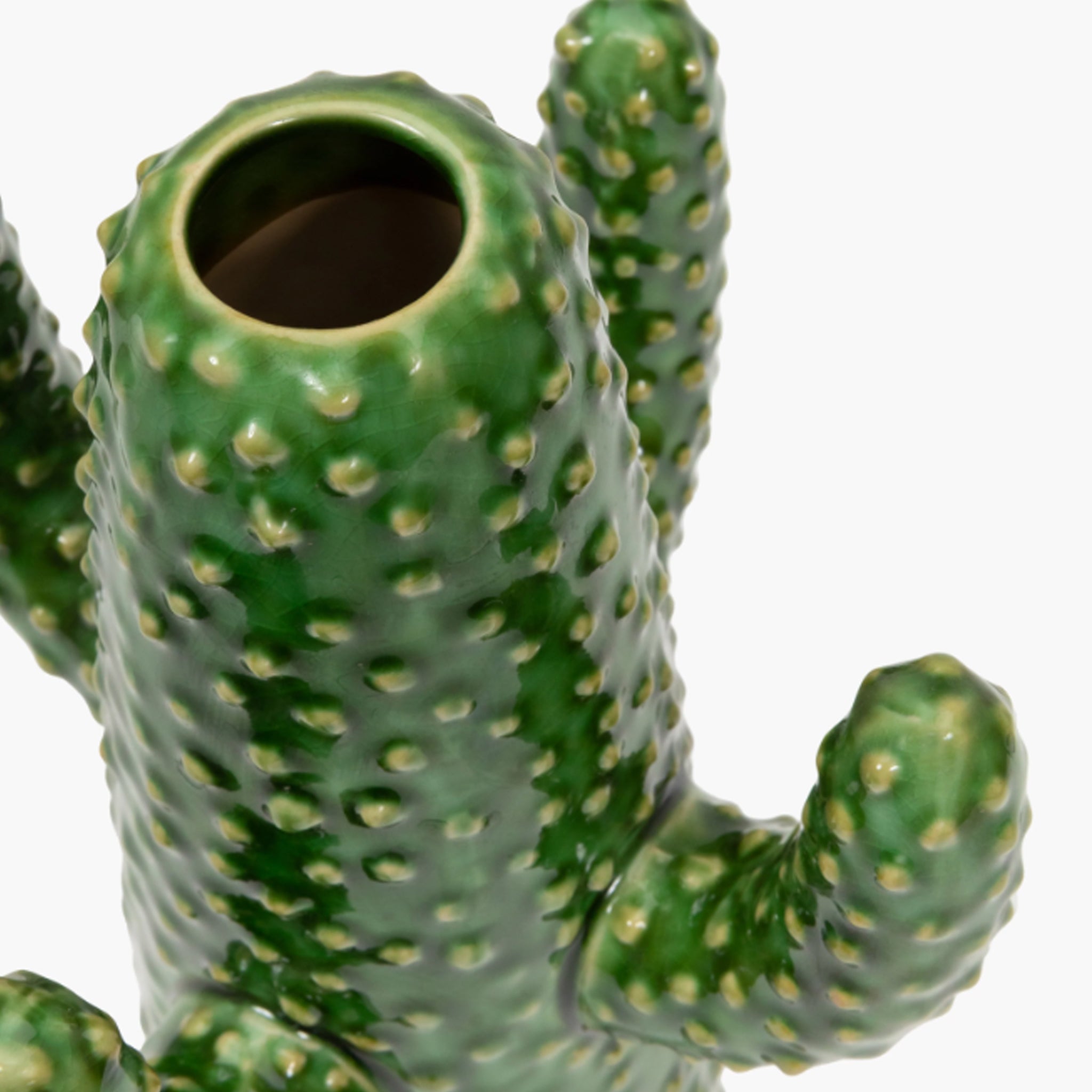 SERAX/セラックス】Cactus vase L green Urban jungle