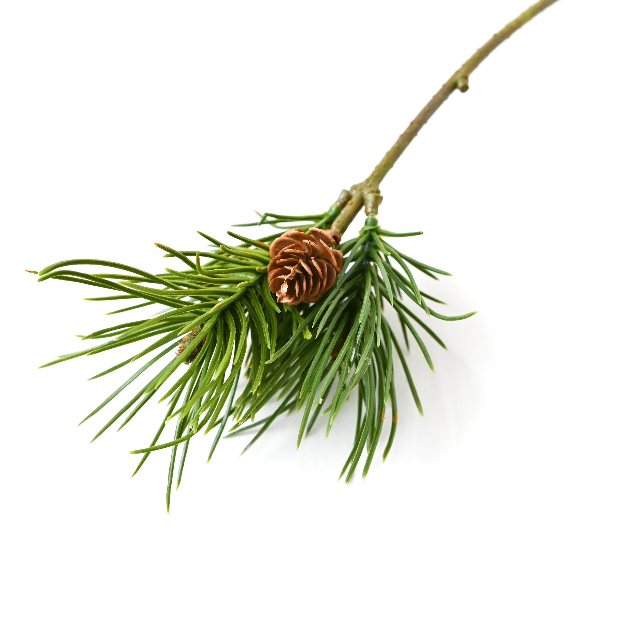 フェイクフラワー (かんな松ピック)