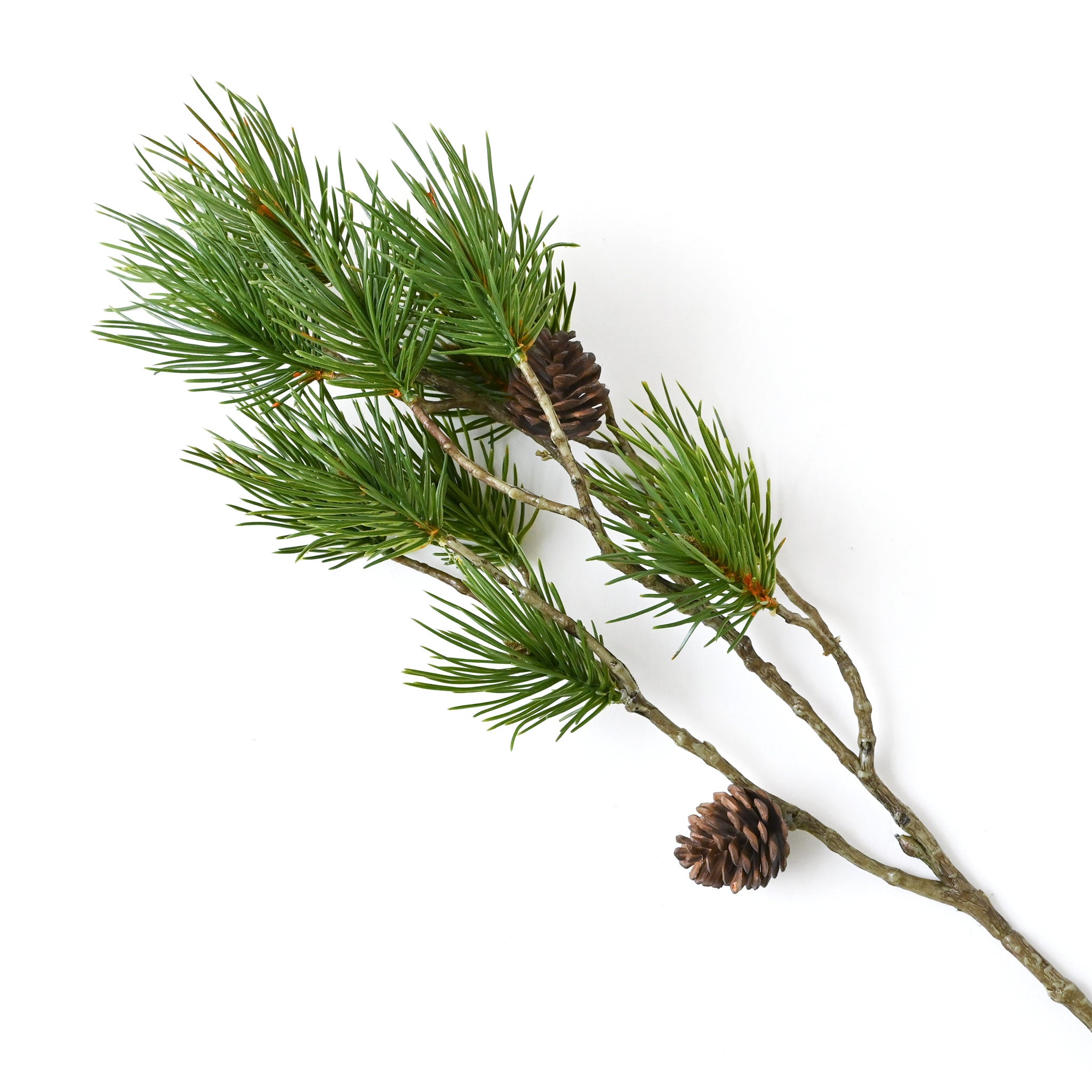 フェイクフラワー (千寿松枝)