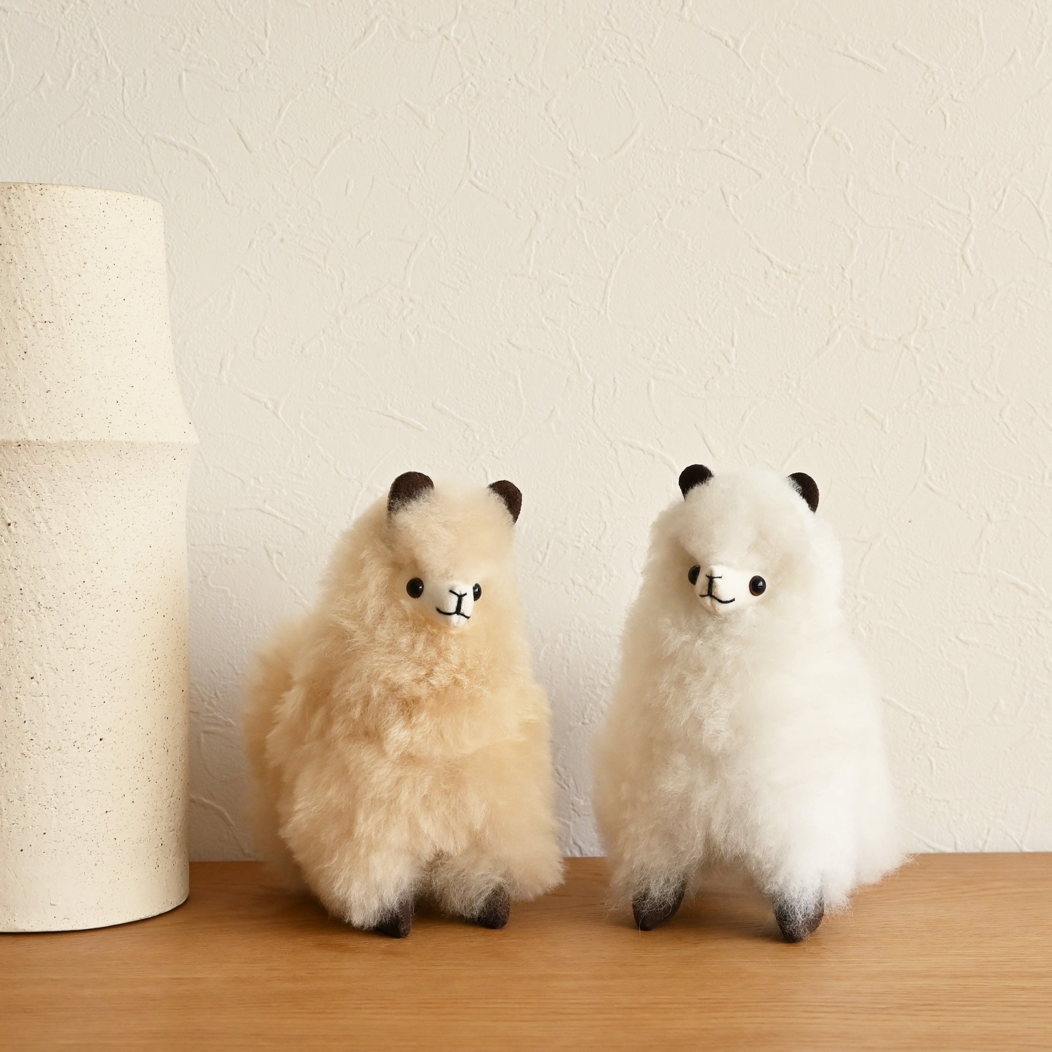 DOLCE&GABBANA by LOVERAMICS 食器8点セット 未使用 DOLCE&GABBANA by